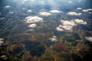 Coffee from 30,000 feet
